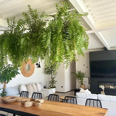 Villa Pizpireta Rural Pastores