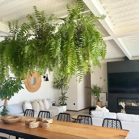 Villa Pizpireta Rural *