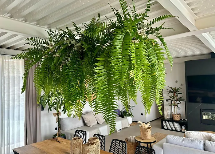 فيلة Villa De Diseno Con Piscina Privada Pastores