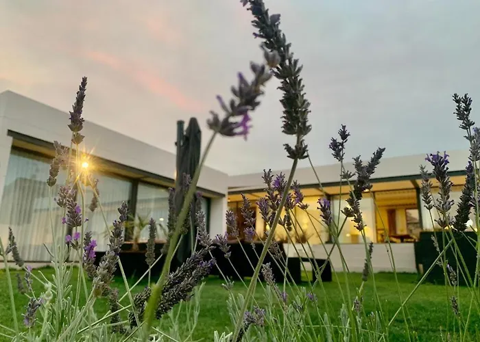 فيلة Villa De Diseno Con Piscina Privada